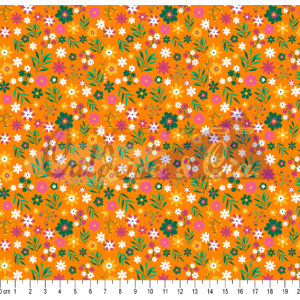 Anny cor 06 (Laranja) 